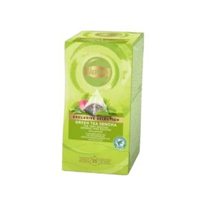 Theezakjes 25 stuks Green tea Sencha Lipton